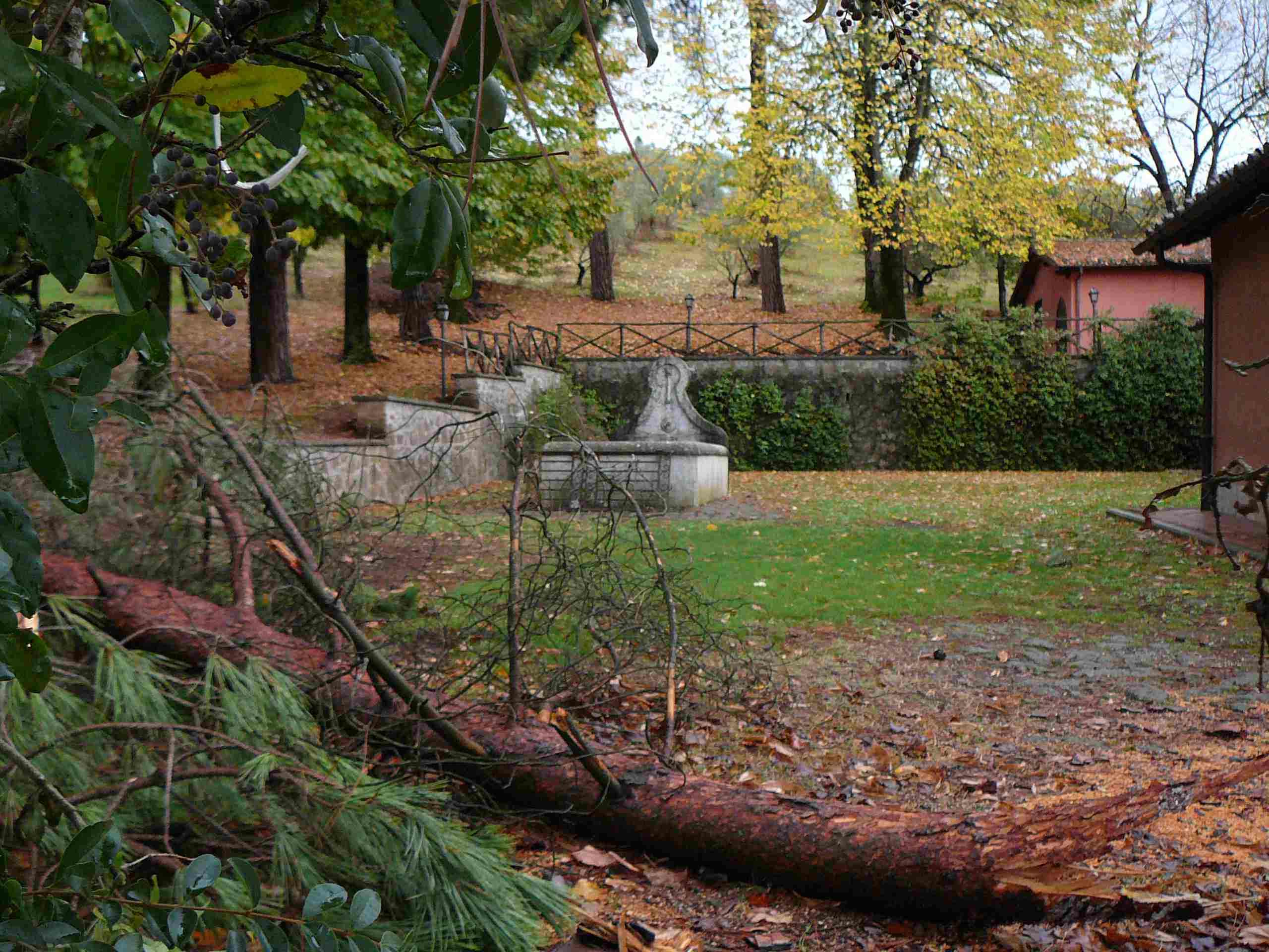 Fontanili del Lazio